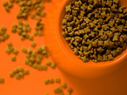 Material Handling Systems from Sentry for Pet Food Industry